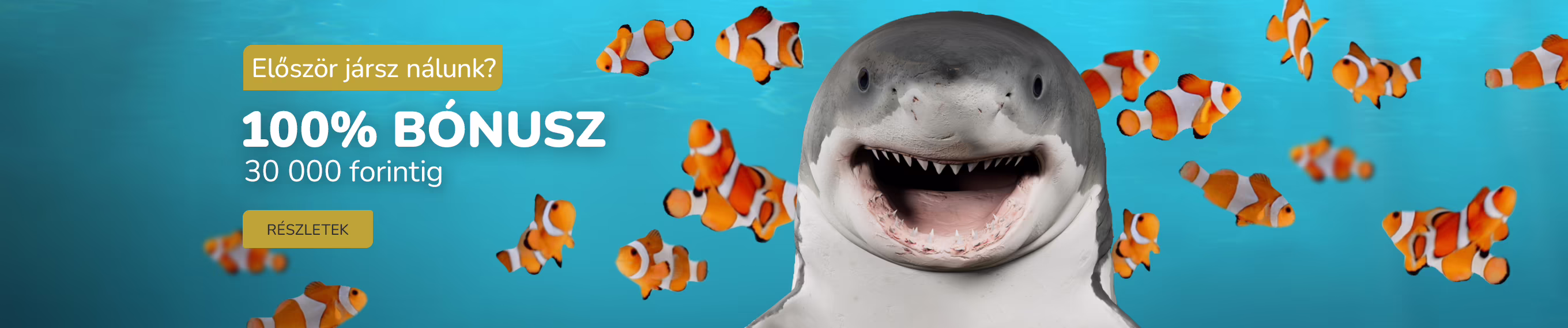 elso befizetes desktop hu